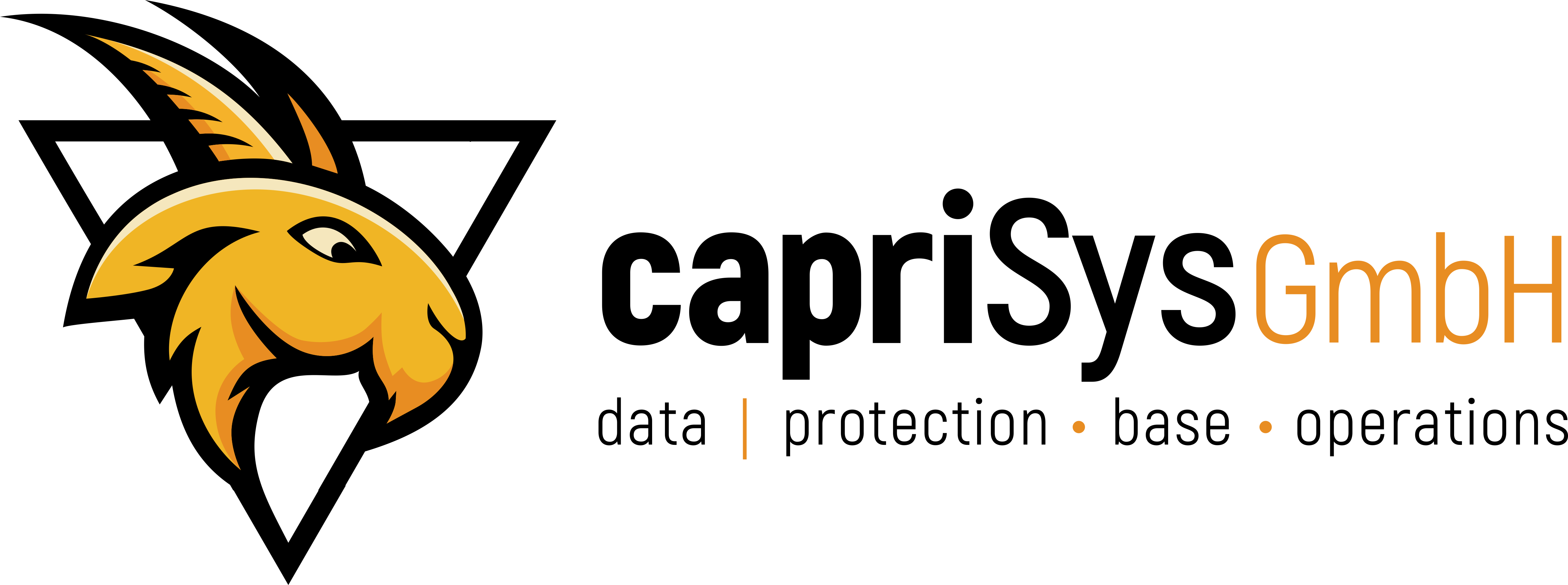 capriSys GmbH